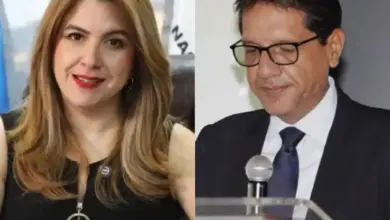 La Consejera inicia su comunicación corroborando las advertencias emitidas previamente por la Misión de Observación Electoral (MOE) de la OEA el 4 de noviembre